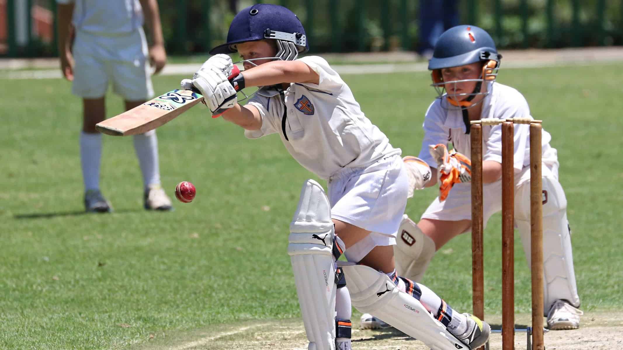 small cricket brands
